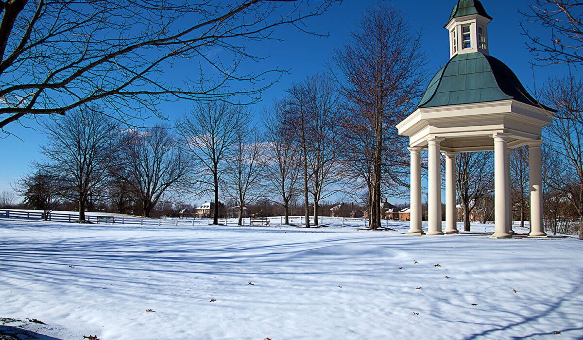Highgrove in Winter